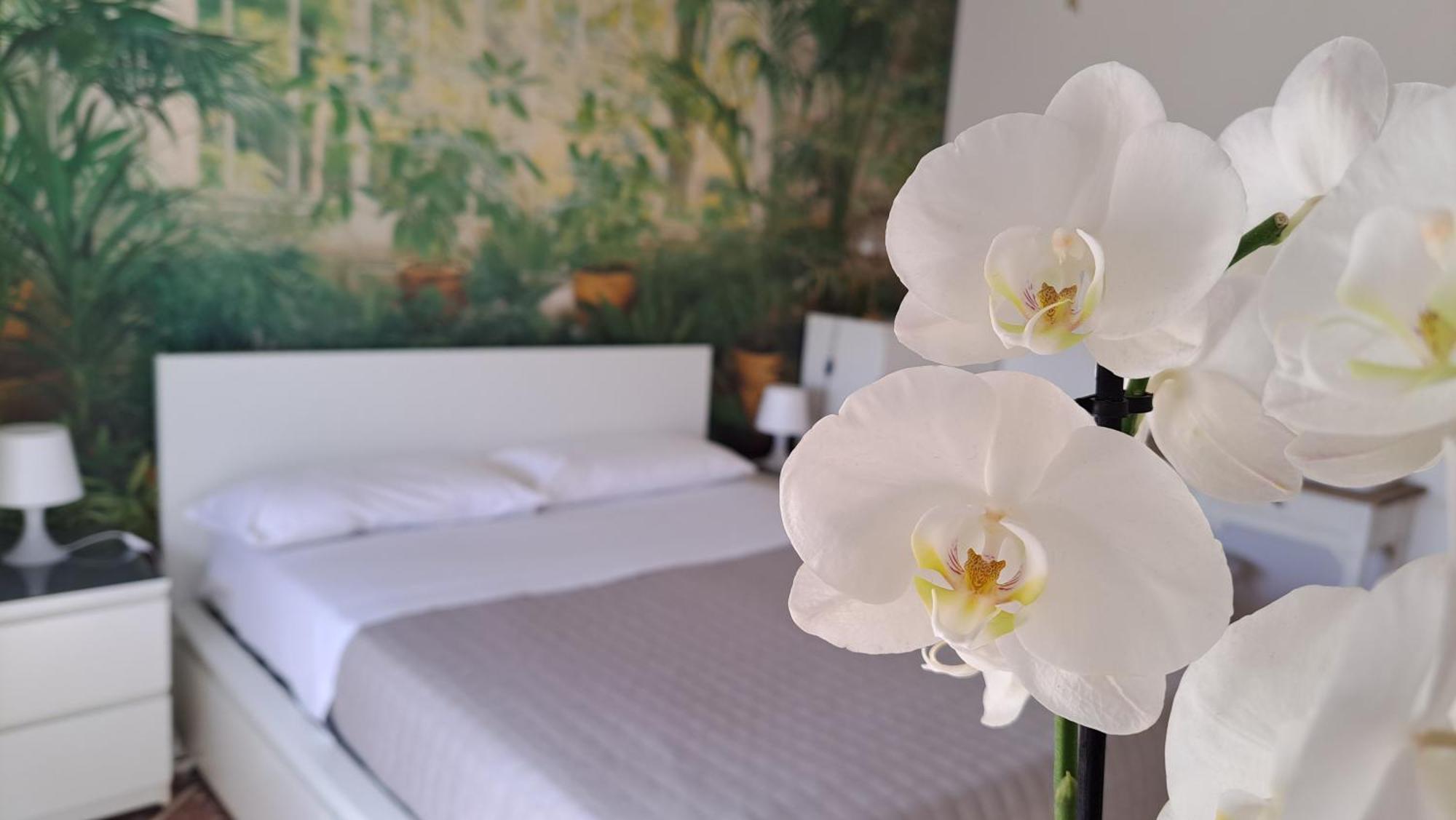 Appartamento Roma Citta Giardino Ngoại thất bức ảnh